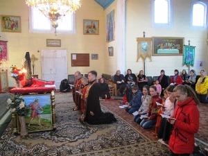 На Буковині роздумували над стаціями Екологічної Хресної Дороги